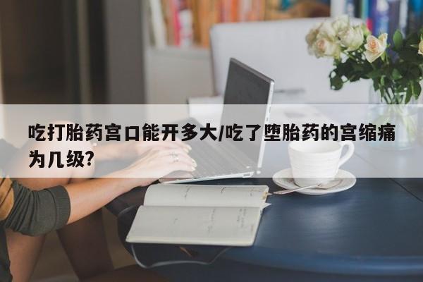 私人卖打胎药微信微信誉好的商家！吃打胎药宫口能开多大/吃了堕胎药的宫缩痛为几级?